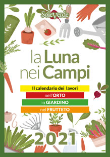 2ccb7382-0c80-427f-8f9b-6805d96e275c