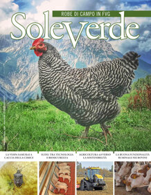 cbfc36ec-0dfa-4d10-bb8d-b2d499921d29