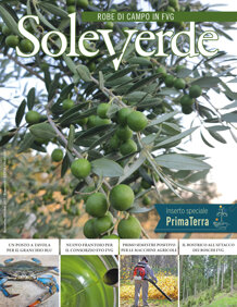 a670d1e2-1849-4fe4-8f3a-eaa2f21d4ed7