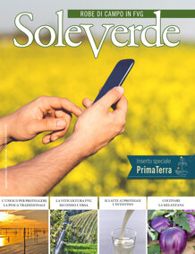 e90606fc-89e4-4e28-9ad2-4d92e10a6158