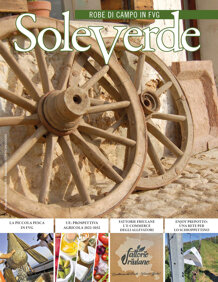 07a54917-987b-4e5e-9f6d-8affd2a9c83f