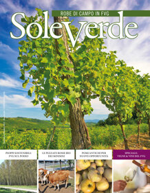 d383c395-9adb-46ee-a326-711c42b9ffe3