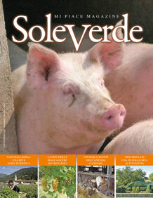 bb6c8cf4-895b-44a6-ac42-4db96b376b52