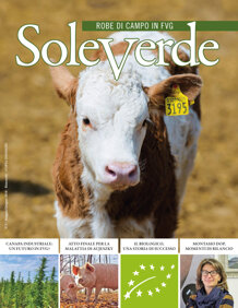 f651b2c7-7dff-4448-872f-e971bc3bb967