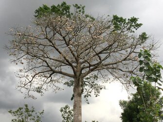 8fcc14f2-1858-488e-92c9-64a46f10f756 8fcc14f2-1858-488e-92c9-64a46f10f756