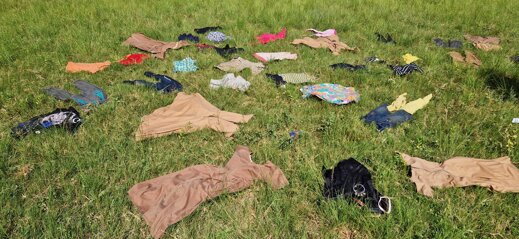 a41cbd47-56fe-4bae-89cc-b5fd7712f76b