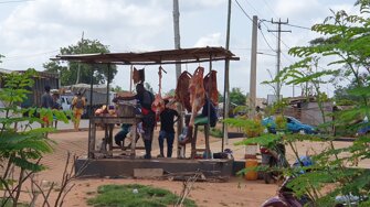 f7e5d684-a5c3-43a3-adf2-46f72dd037d5