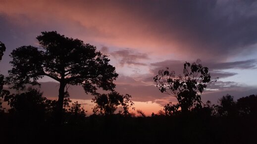 50dbf9ad-9bb5-4c81-b625-7dc90a4fa656