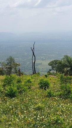 8a916d9f-963a-48a3-b515-e5451ed63d0f