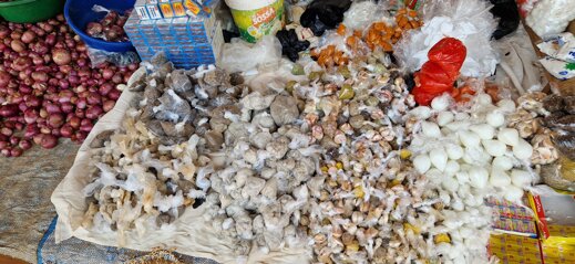 355bcd1d-14a2-4772-8d26-391327b1fafb