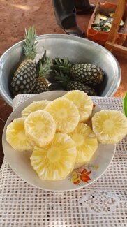 17c06074-9ba6-4e36-9712-3f11f6f0f9b4