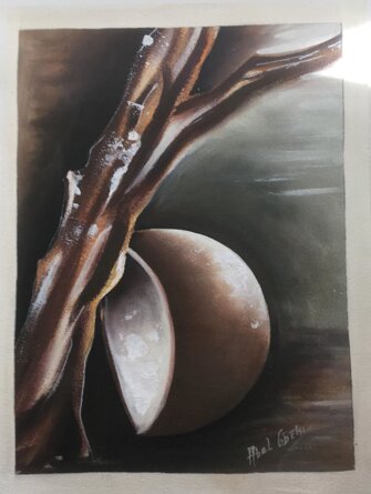 1d01fb02-1a99-46ad-960b-ab4d354832da