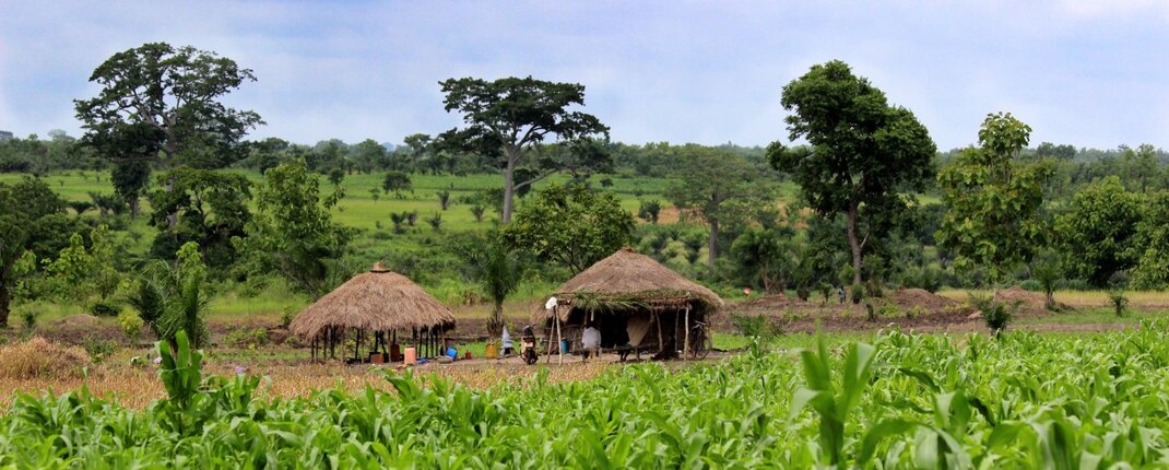 09dd934b-9cfc-44fe-9b7b-cc9cb1147d07