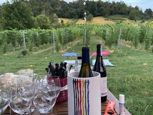 5d72c352-3d46-4e5b-b386-dd929c2eb192.jpeg 5d72c352-3d46-4e5b-b386-dd929c2eb192.jpeg