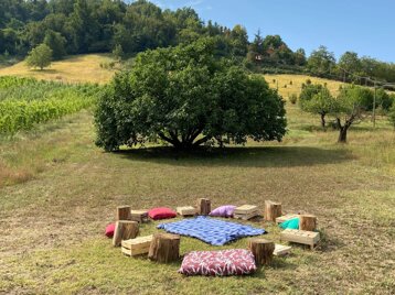 69defdf3-75a7-4602-995c-0794be29aa7a.jpeg 69defdf3-75a7-4602-995c-0794be29aa7a.jpeg