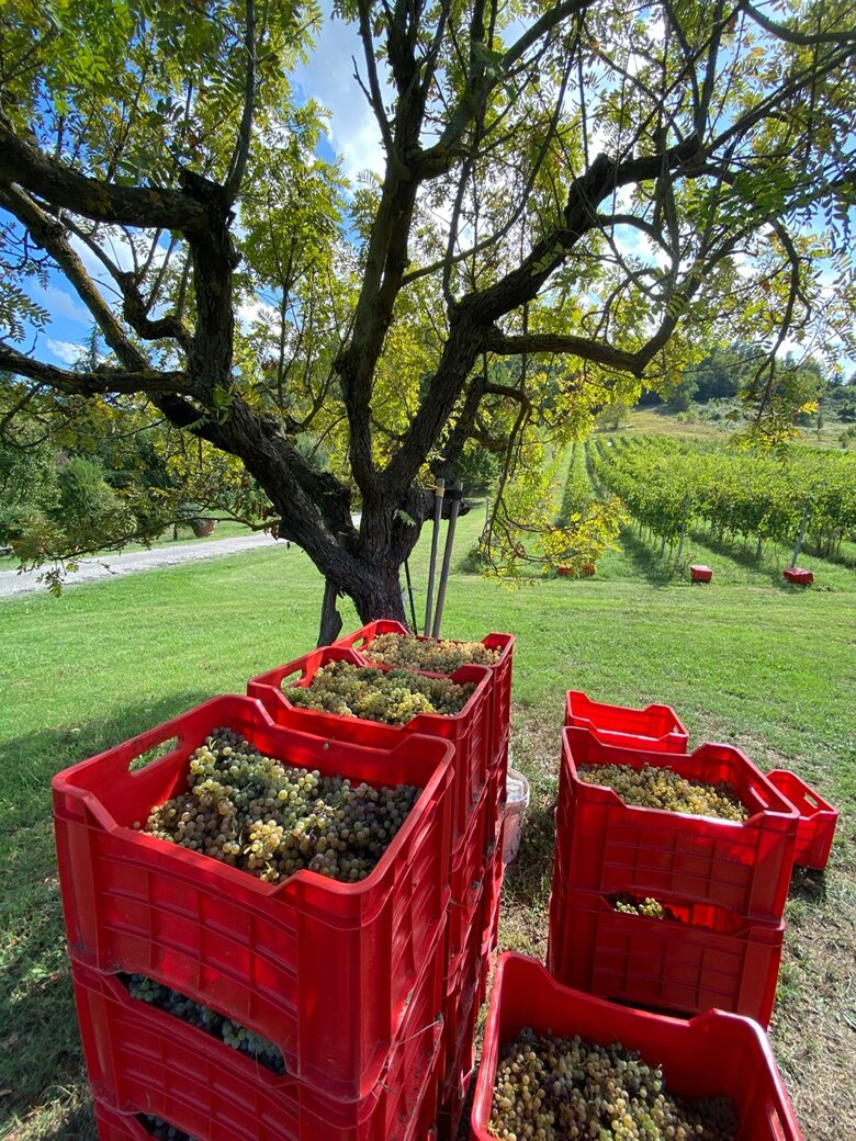 954cede7-39fe-4ba9-a4fa-178299ab9d85