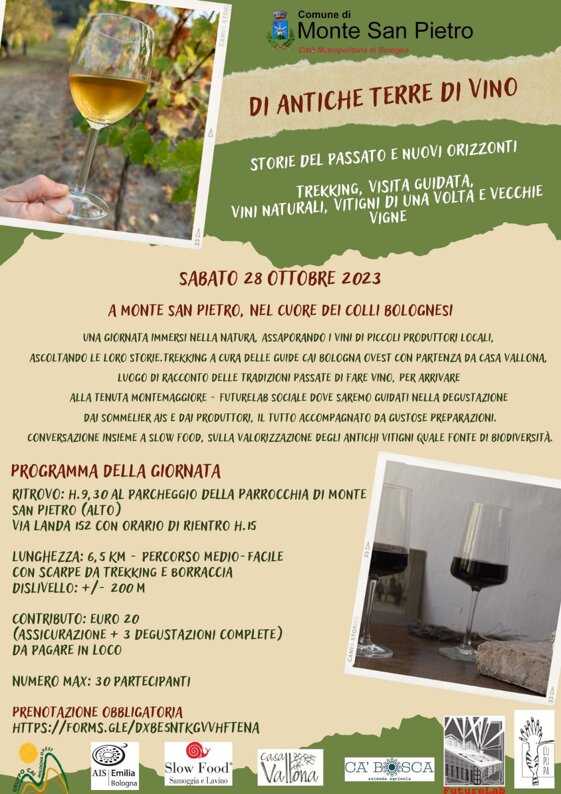 81d82386-326d-4696-8a69-74fa308b31a8