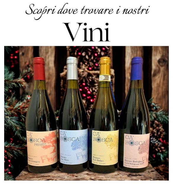 cc128aa9-0a20-4451-b48d-4006e20ec276