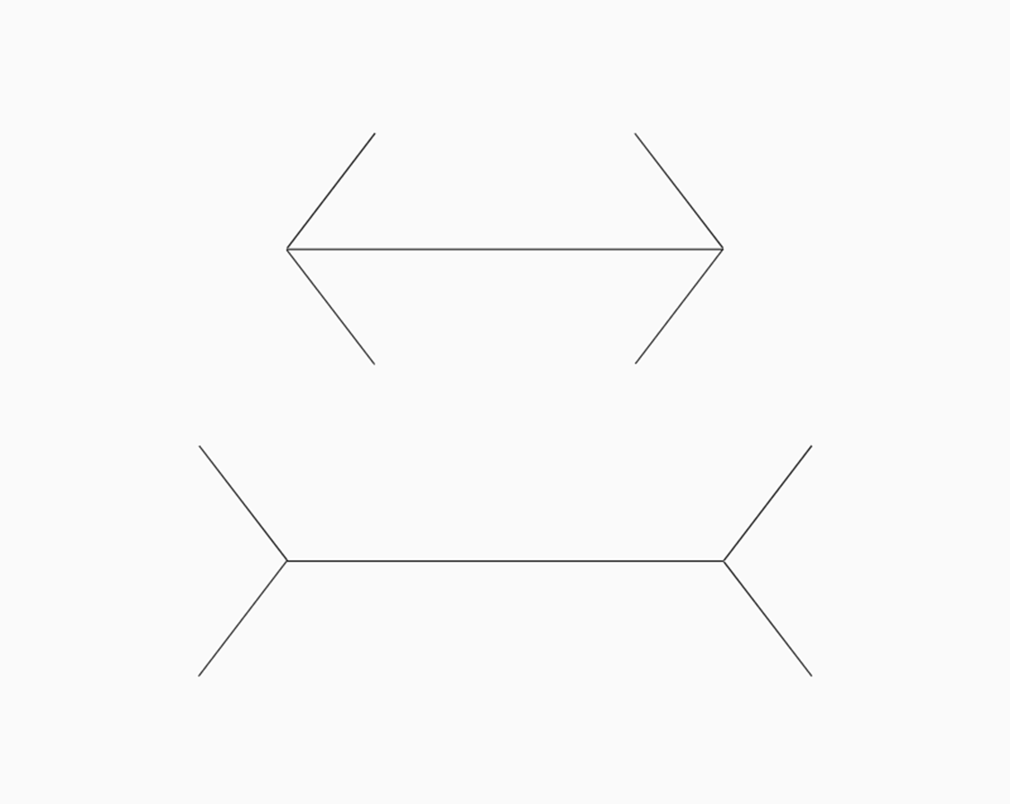 illusione-muller-lyer---remomero.png