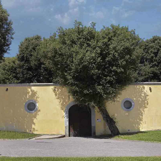 Cellaio e Fagianeria Museo e Real Bosco di Capodimonte