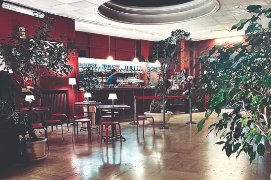 2790e5ed-281e-49f9-83a4-e405b2c26da7.jpeg 2790e5ed-281e-49f9-83a4-e405b2c26da7.jpeg