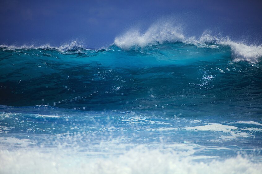 shutterstock_2719664969.jpeg shutterstock_2719664969.jpeg