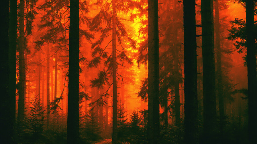 adobestock_192201930.jpeg adobestock_192201930.jpeg
