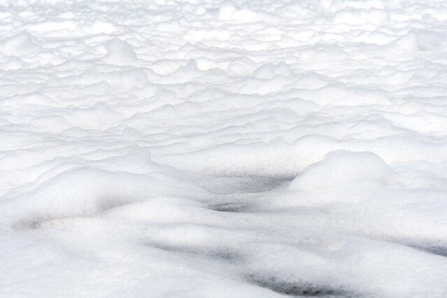 adobestock_267476297.jpeg adobestock_267476297.jpeg