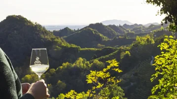 5bd3337e-e155-46f5-84fb-6e0ccbd2515a