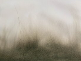 img_1272.jpeg img_1272.jpeg