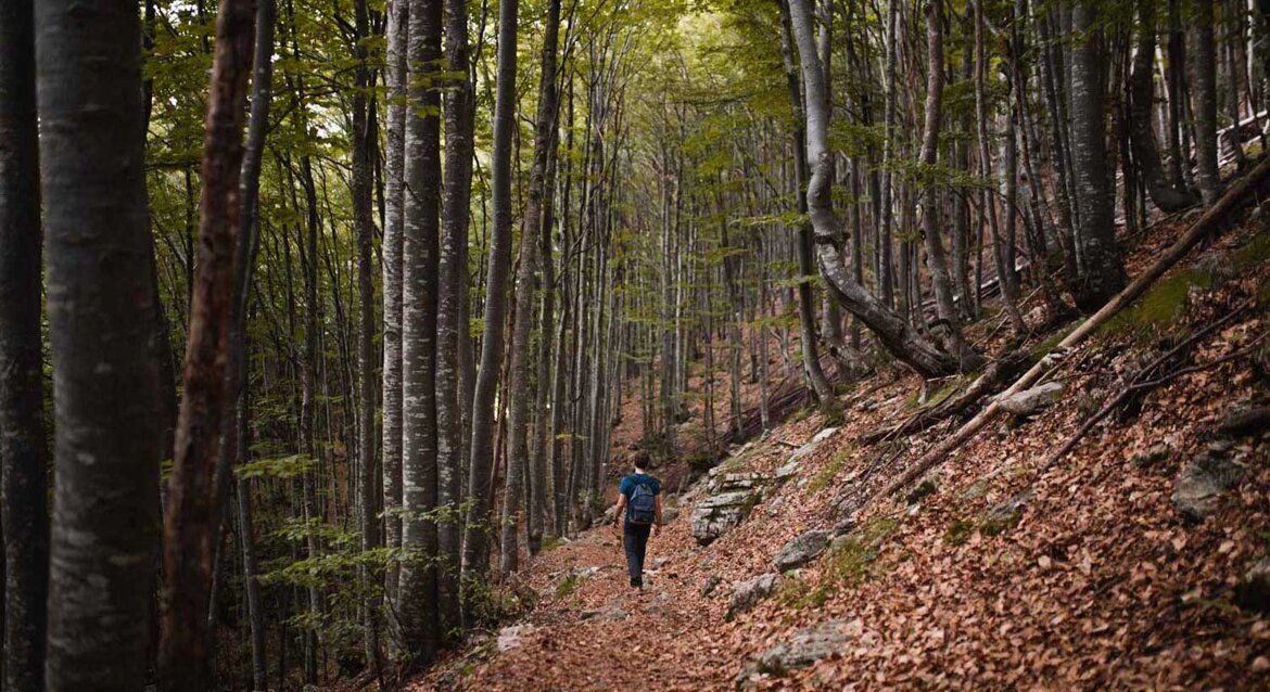 e1e1d8d3-81e8-4958-98e1-02e7f24b1fd0