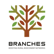 logo_branches web logo_branches web