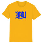 bagno-a-ripoli-giallo