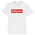 settignano