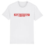 san-frediano-firenze