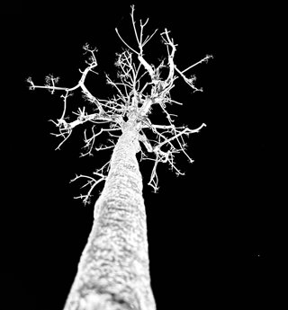 30531_57d38a5ff3b5c25c2214dde2209e6c51bef4144c