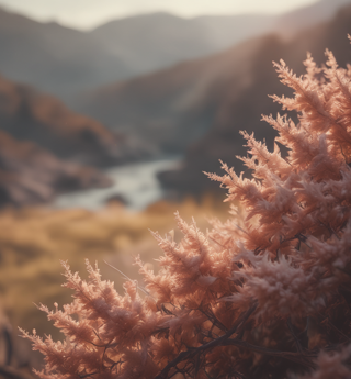 30531_ea3c9d843c665ffc6edd601c8bc0527a8fa00b6d