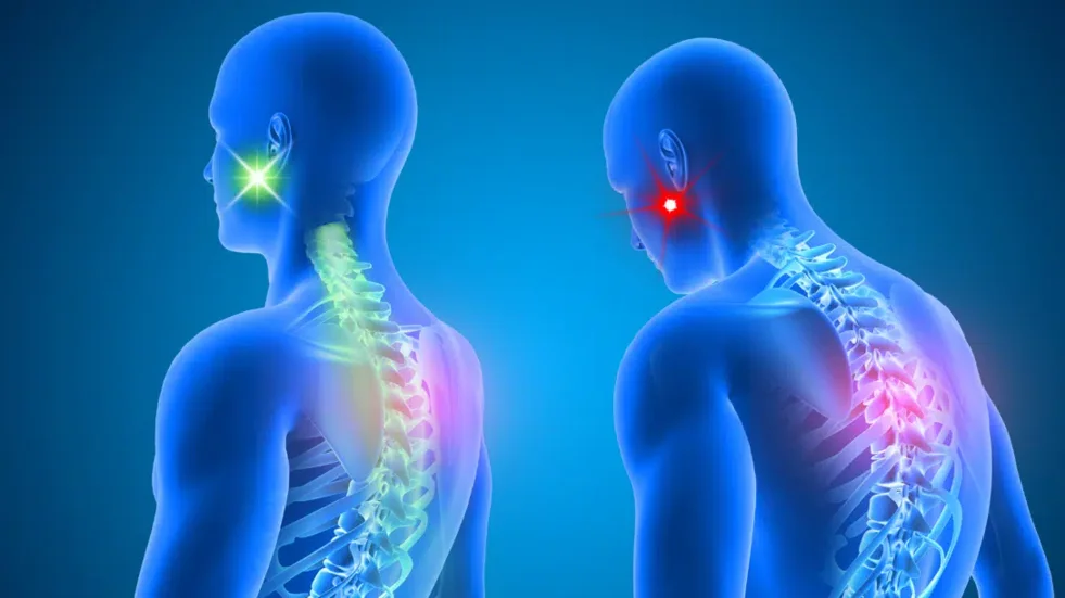 guida-patologie-blog-1-1-1088x612 guida-patologie-blog-1-1-1088x612