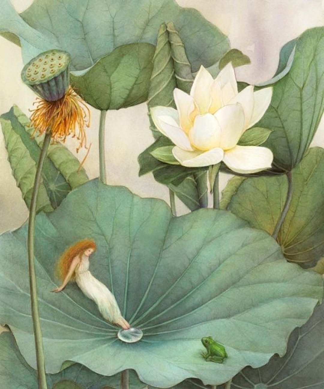 Dinacharya: la pulizia del corpo secondo l'Ayurveda