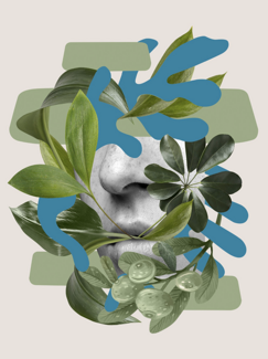 schermata 2025-11-24 alle 15.30.05