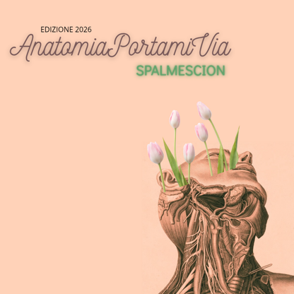 anatomia_20250902_171057_0000