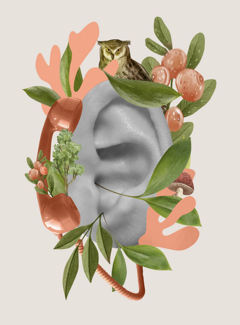 schermata 2025-11-24 alle 15.30.29