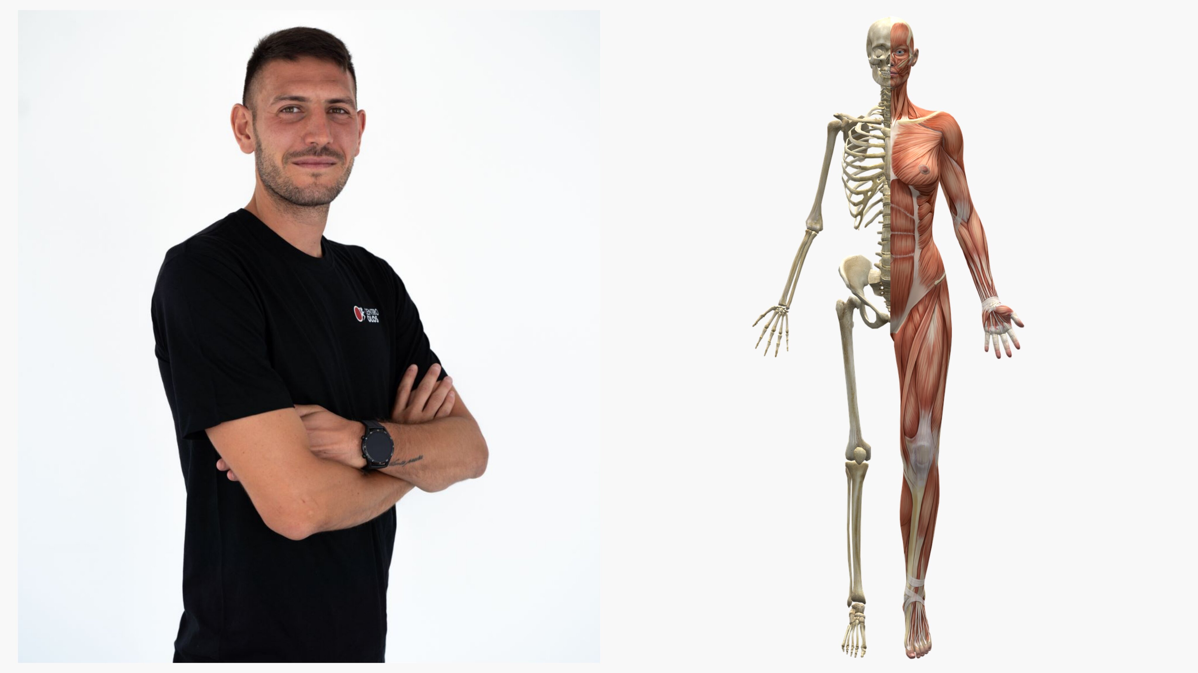 Mobilità articolare e allungamento muscolare