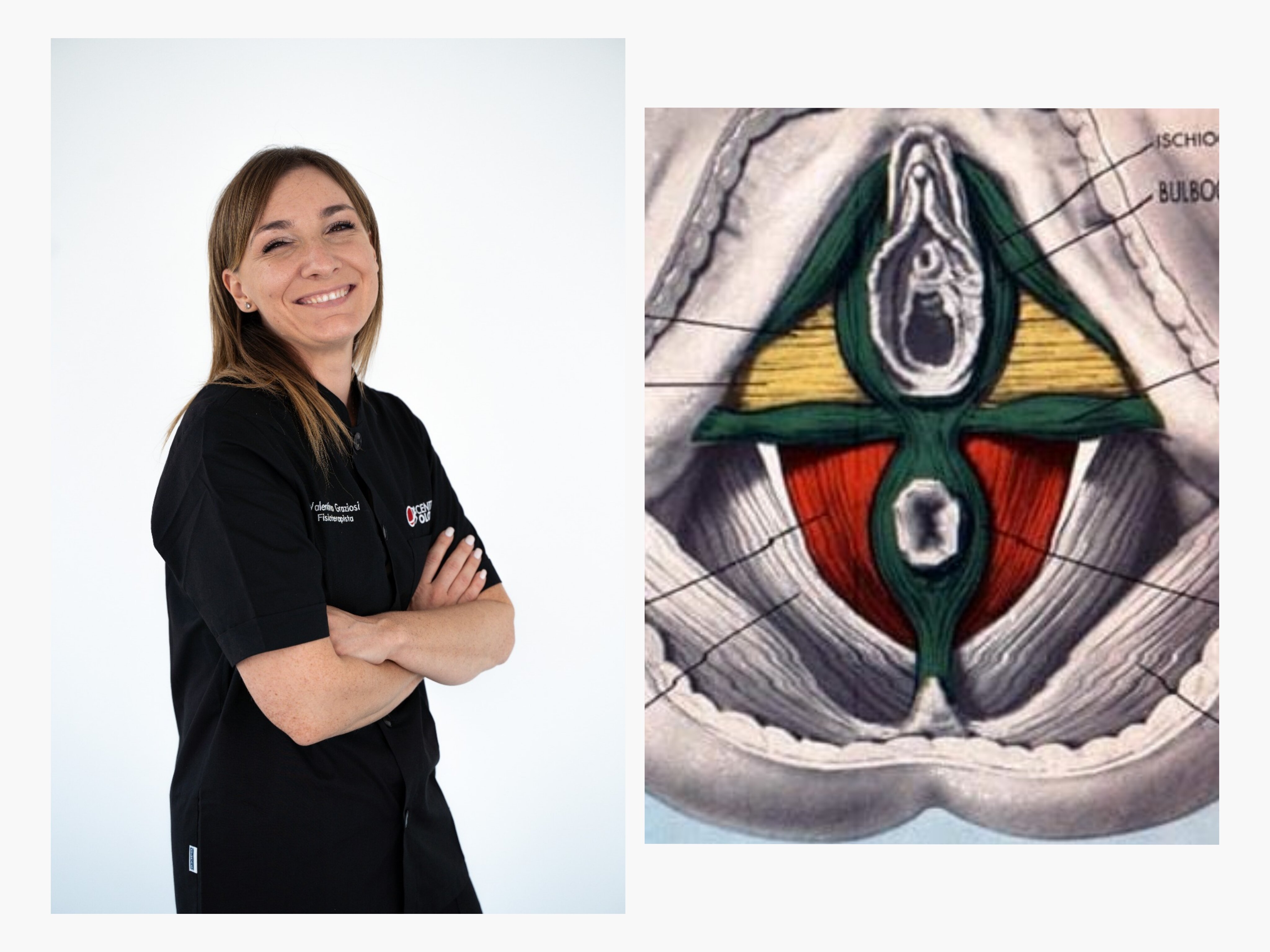 L’importanza del pavimento pelvico e della sua riabilitazione L’importanza del pavimento pelvico e della sua riabilitazione