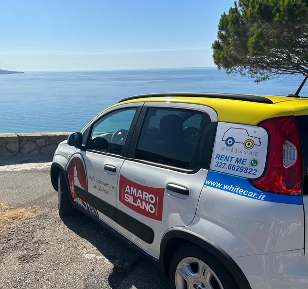 804637cd-c42b-4a2c-8fe8-d6dd7908b610 804637cd-c42b-4a2c-8fe8-d6dd7908b610