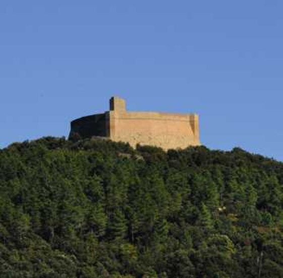 468a7f54-39f6-4afa-b1d1-0973a337e2b0