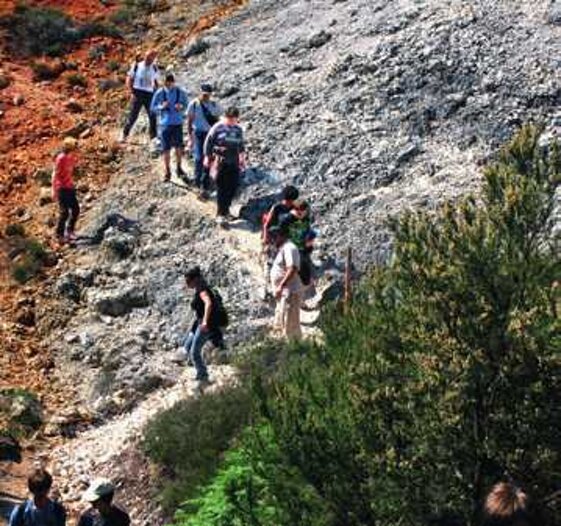 186a1f4d-ba09-4bde-8cf6-d204757e56d8