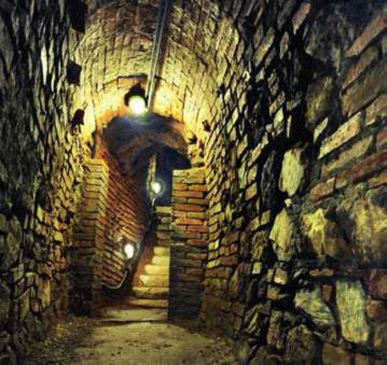 be41511f-0fbd-4c41-b8a3-3e89331e92f8