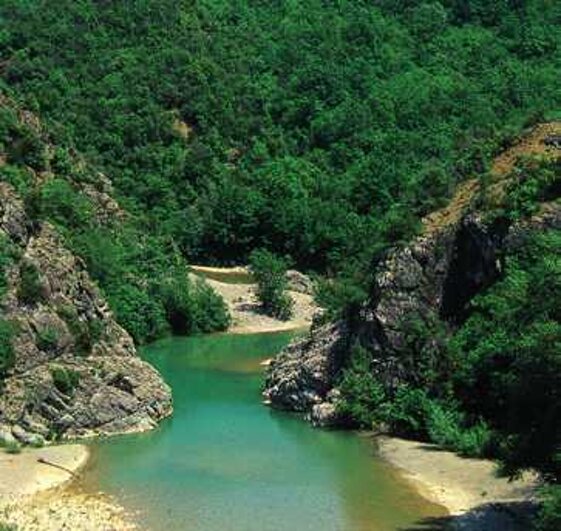 07498a3a-e740-46fe-979d-e020b2a371b9