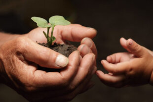 53bfb6ee-6a1d-411b-a9aa-cdf2f2497c53.jpeg 53bfb6ee-6a1d-411b-a9aa-cdf2f2497c53.jpeg